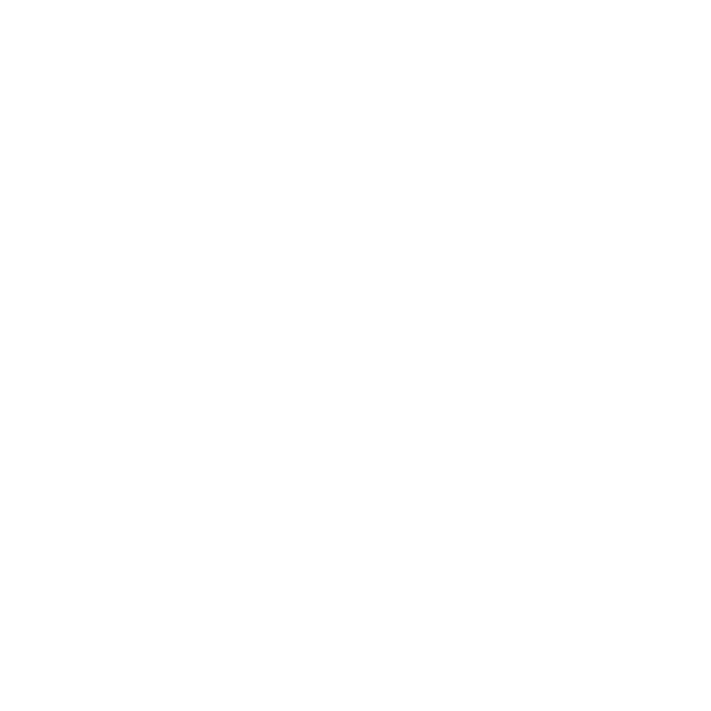 Moon's Cookies — American Chocolate Cookies